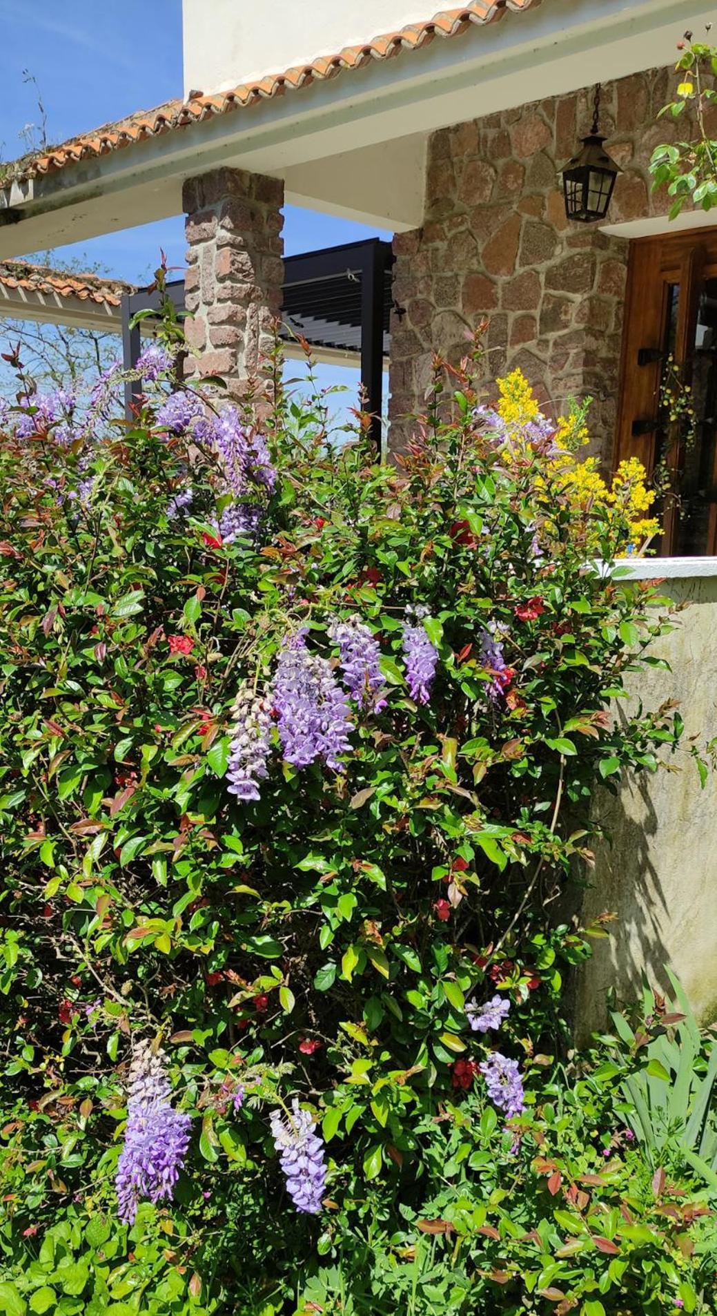 Bed and Breakfast 13 Bees Confolens Exterior foto