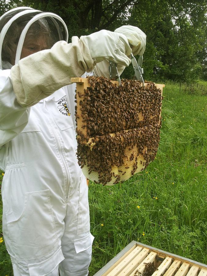 Bed and Breakfast 13 Bees Confolens Exterior foto