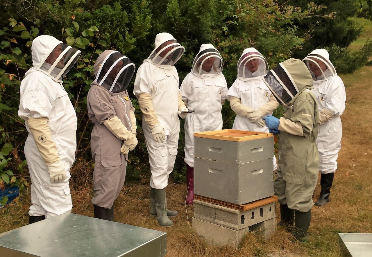 Bed and Breakfast 13 Bees Confolens Exterior foto